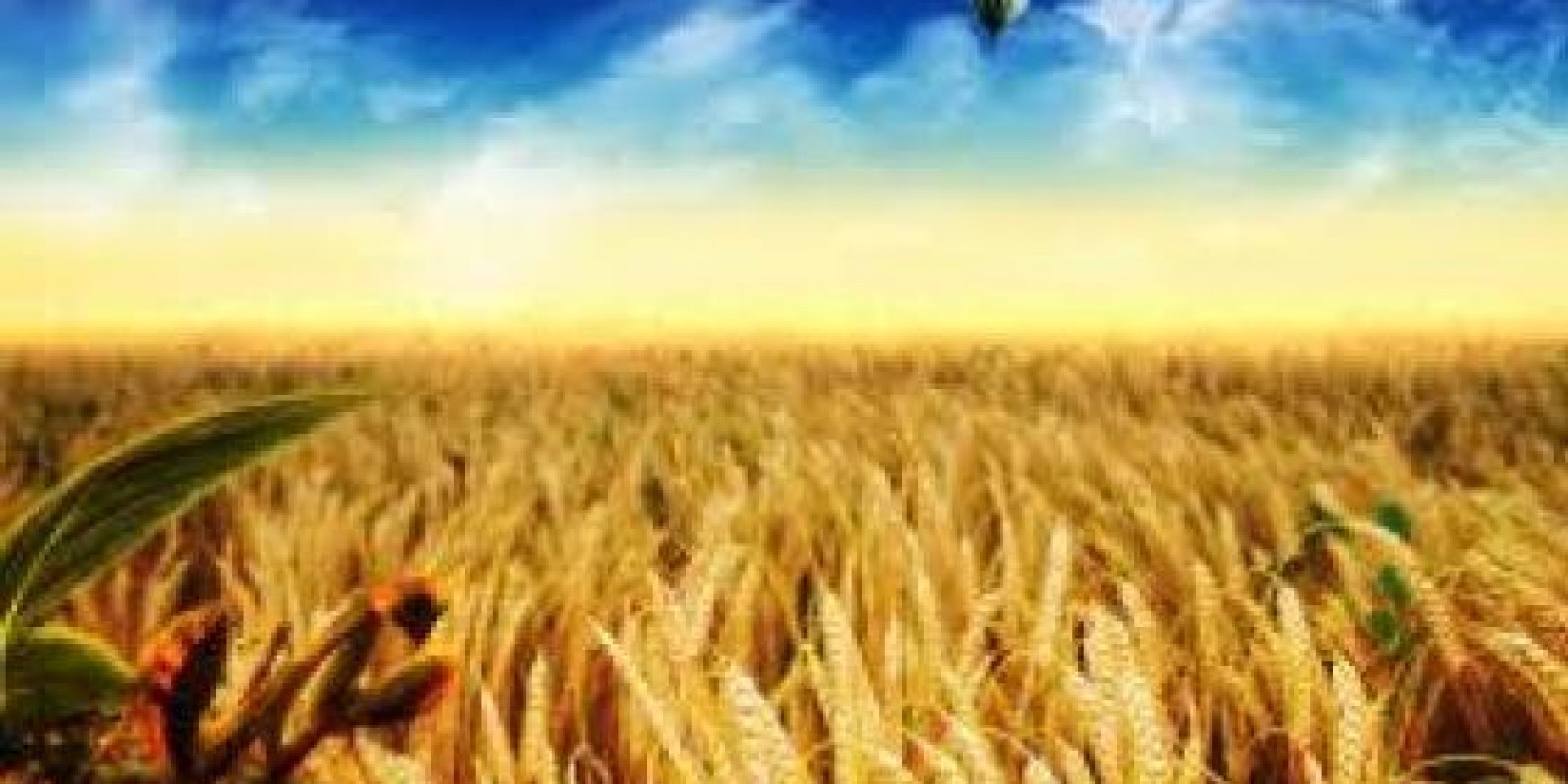 12th Day: ROMANS 3:9, 23, 27-28